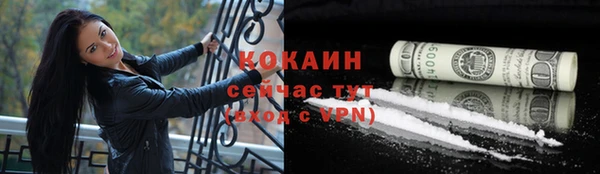 сатива Костерёво