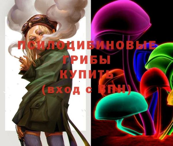 ГАЛЛЮЦИНОГЕННЫЕ ГРИБЫ Краснослободск