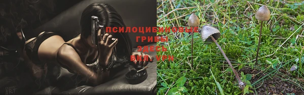 не бодяженный Козельск