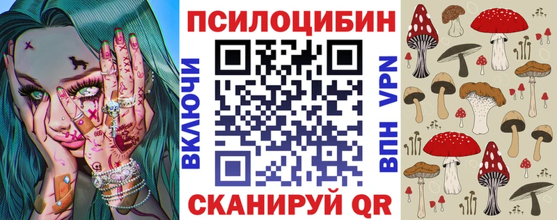 Купить  Гдов  Псилоцибиновые грибы Cubensis 